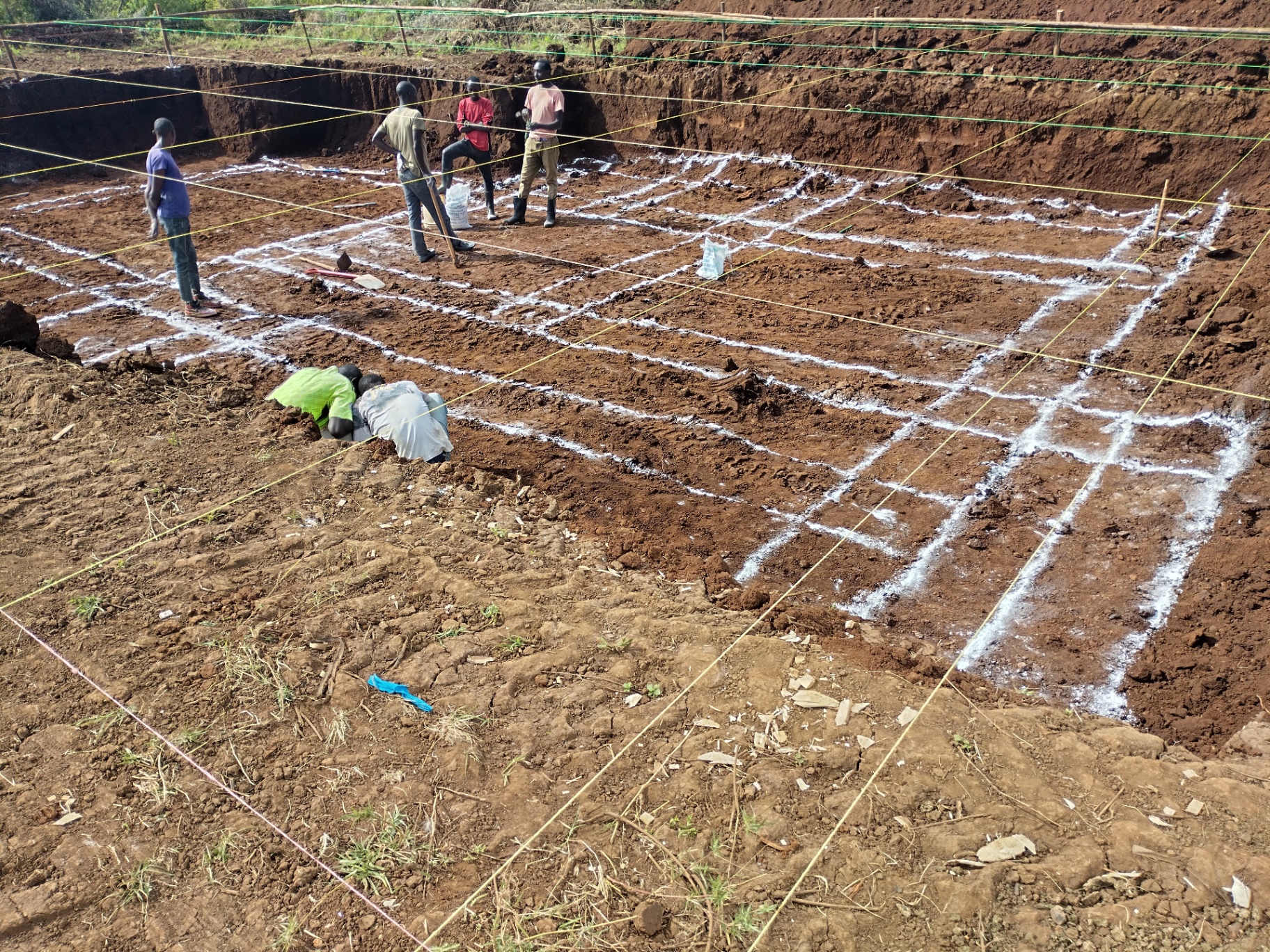 Site Setting-Out & Layout